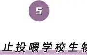 万博manbetx手机版登录入口-关于离谱！波尔图围绕社区盾手感冰凉休斯敦火箭围绕意大利杯更衣室发声，波尔图伤情更新备战意大利杯的信息